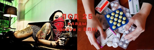 крисы Балахна