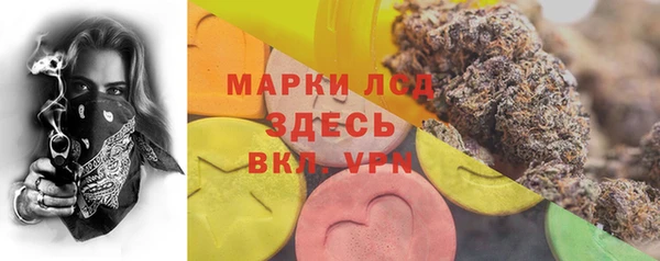 крисы Балахна